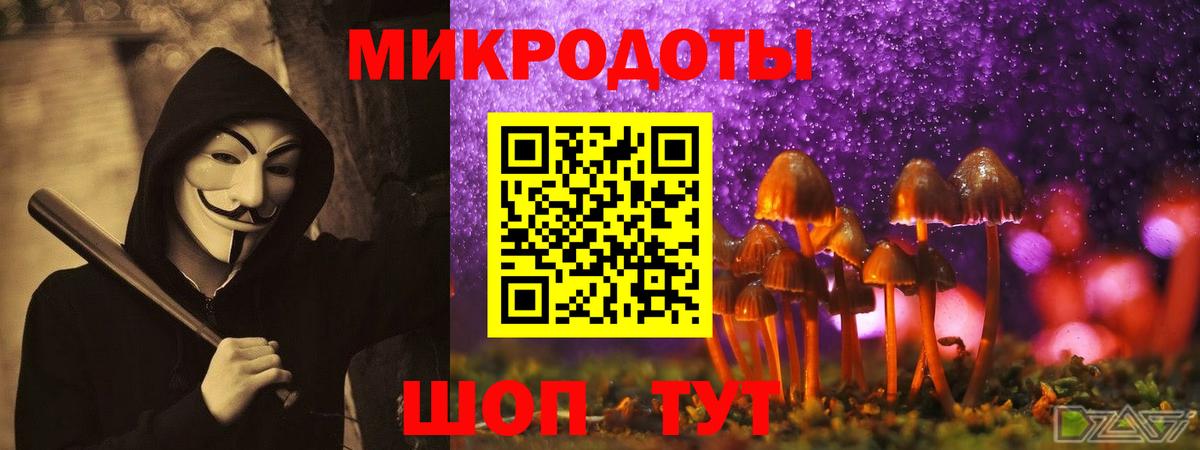 Псилоцибиновые грибы GOLDEN TEACHER Ижевск
